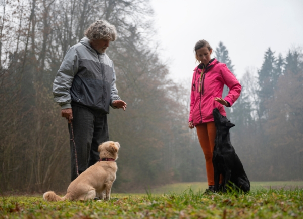 Introducing your dog to people and other dogs