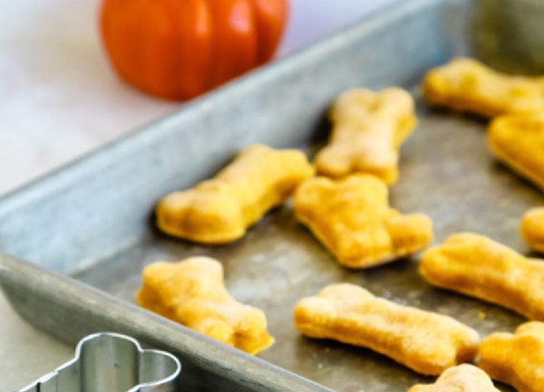 Dog Treats Pumpkin Oat Biscuits