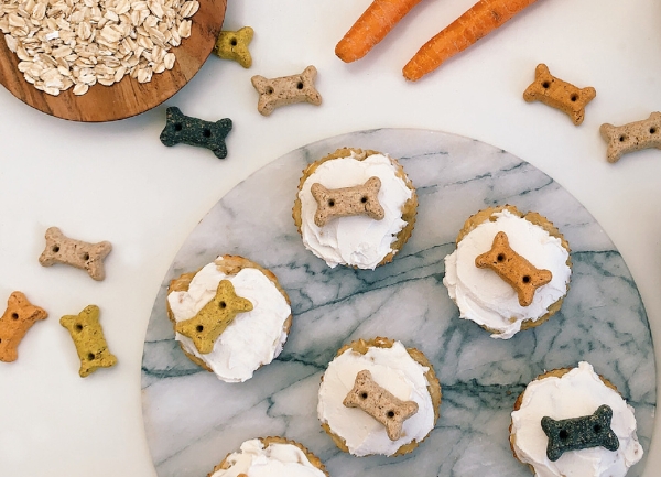 dog treats apple carrot pupcakes